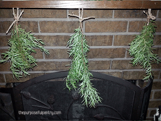 How to Dry Herbs | Dehydrate Herbs | The Purposeful Pantry | Preserve Herbs