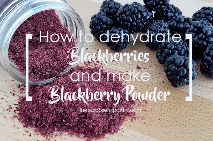 How to Dehydrate Blackberries & Make Blackberry Powder | The Purposeful