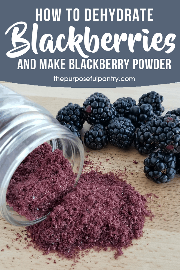 Berry season is short and sweet, so don't forget to stock up on more to make sure you can dehydrate blackberries and save them for snacking or to make blackberry powder! I'll show you how with this easy step by step tutorial which is also great for doing other kinds of berries, too!