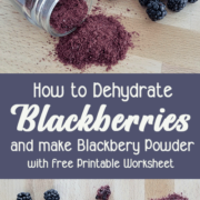 Blackberries, dehydrated blackberries and blackberry powder on a wooden background with text "how to Dehydrate Blackberries and make Blackberry Powder"