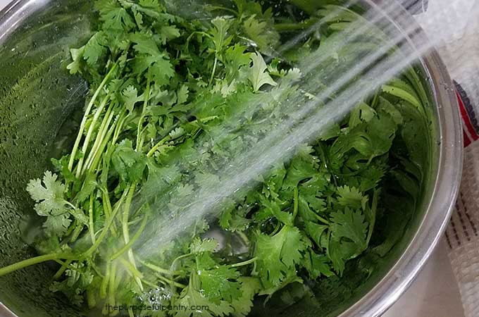 Parsley in a bowl rinsing under water with text "Thepurposefulpantry.com"