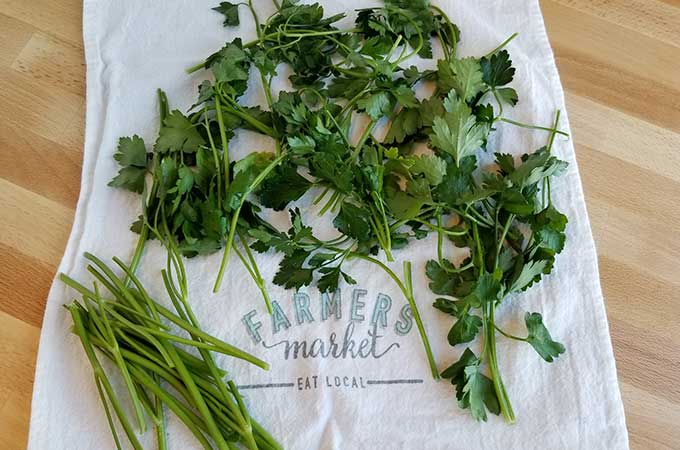 Parsley on a tea towel - how to dehydrate parsley