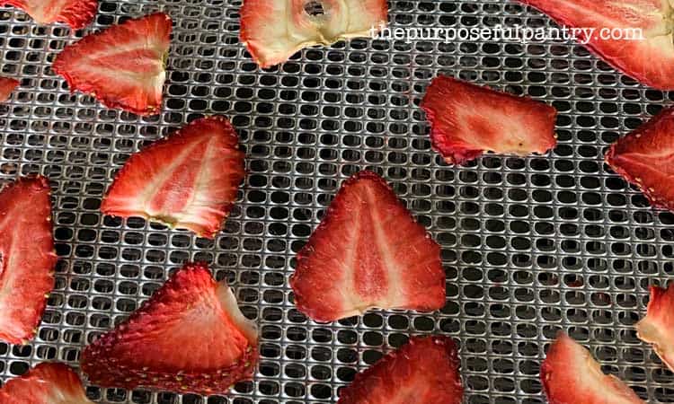 Excalibur dehydrator tray full of dehydrated strawberries