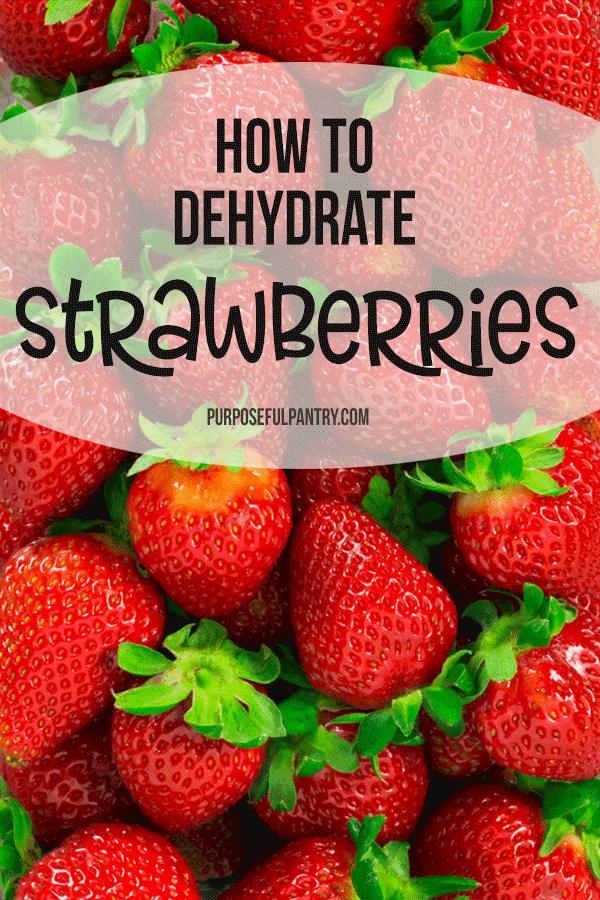 How to Dehydrate Strawberries - dry your strawberries for a taste of summer all year long. Learn how to dry strawberries to increase your long-term food storage in your pantry. Simple steps plus a great hack for how to hull strawberries easily. #foodstorage #longtermfoodstorage #dehydratingstrawberries