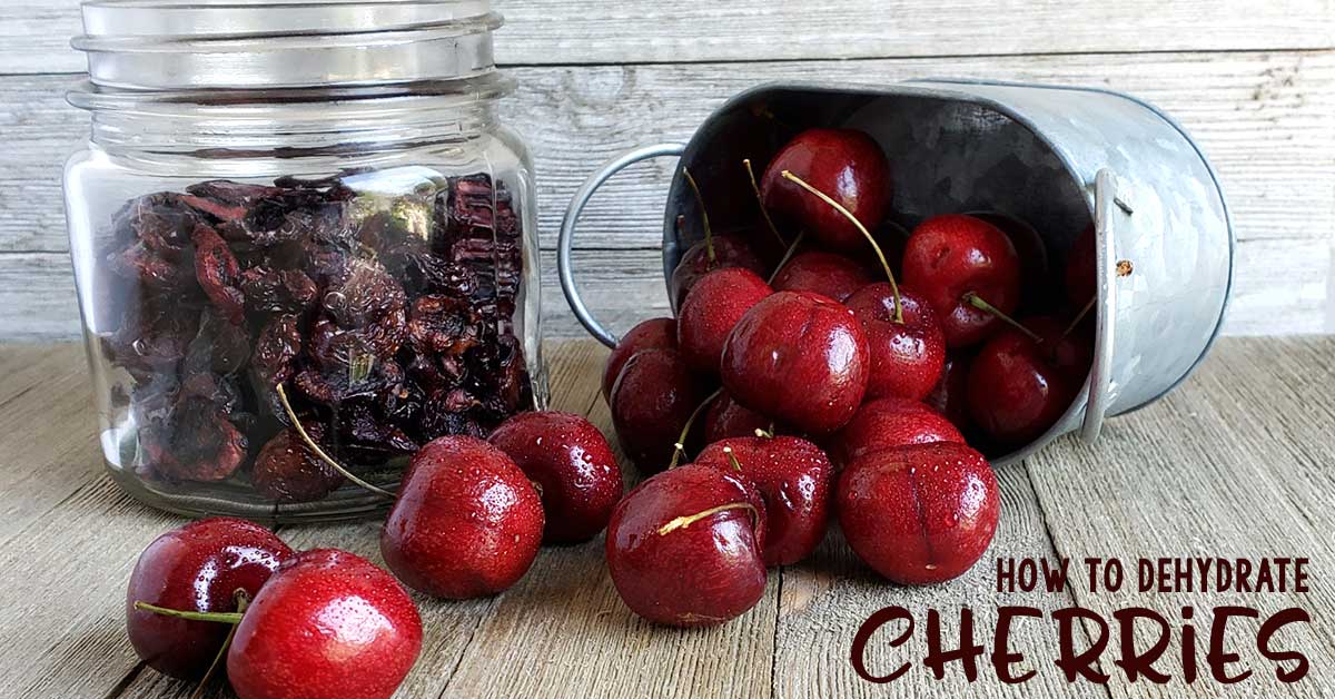 Mason jar of dried cherries, metal container spilling fresh cherries on wooden surface