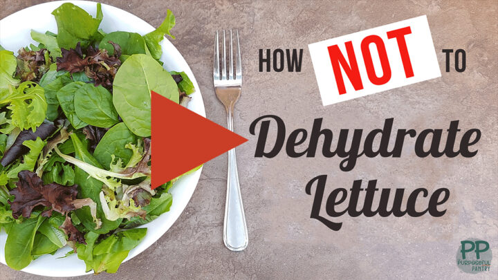 Youtube play button for video on dehydrating lettuce