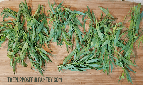 How to Preserve Tarragon