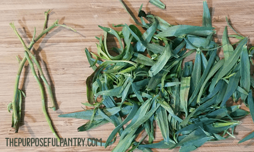 How to Preserve Tarragon