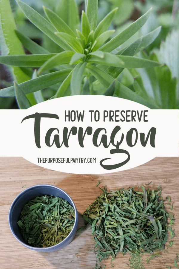 How to Preserve Tarragon