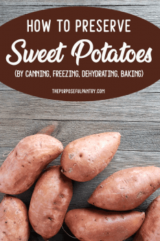 How to Can, Freeze, Dehydrate and Preserve Sweet Potatoes | The ...