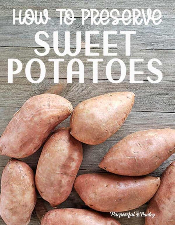 How to Can, Freeze, Dehydrate and Preserve Sweet Potatoes The