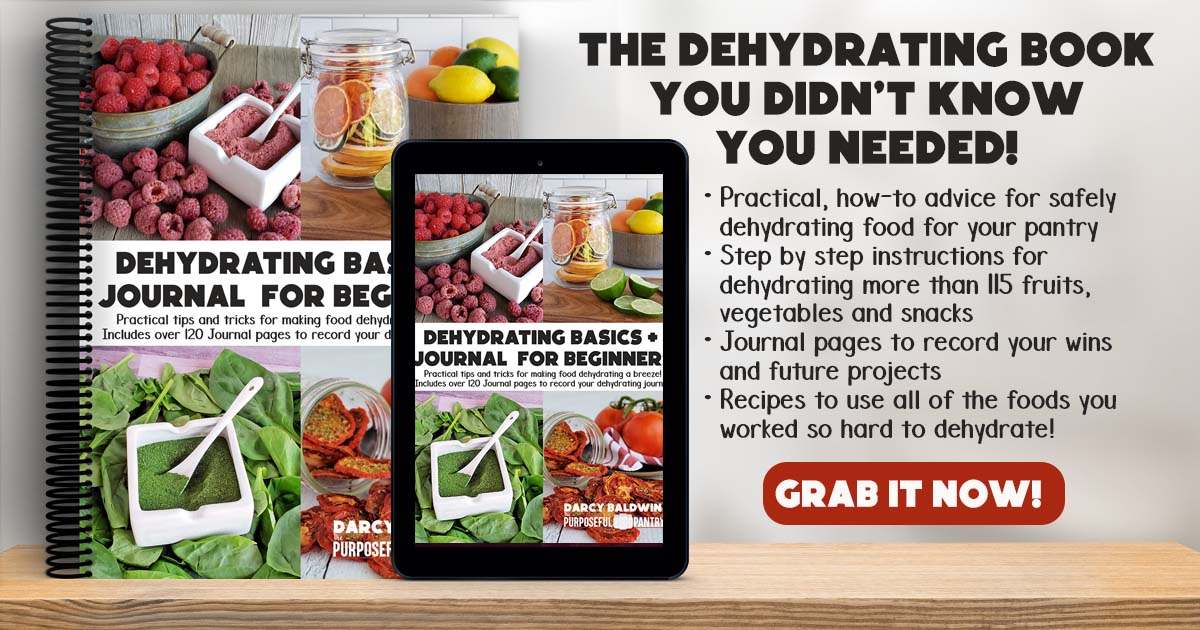 Dehydrating Basics & Journal book and ebook mockup