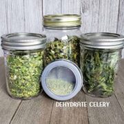 dehydrated celery stems leaves and powder in glass mason jars on wooden background