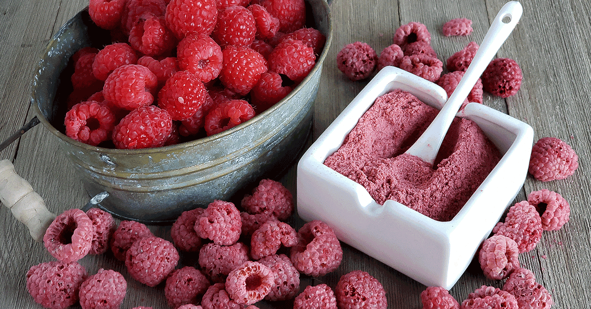 How to Dehydrate Raspberries and Make Raspberry Powder | The Purposeful