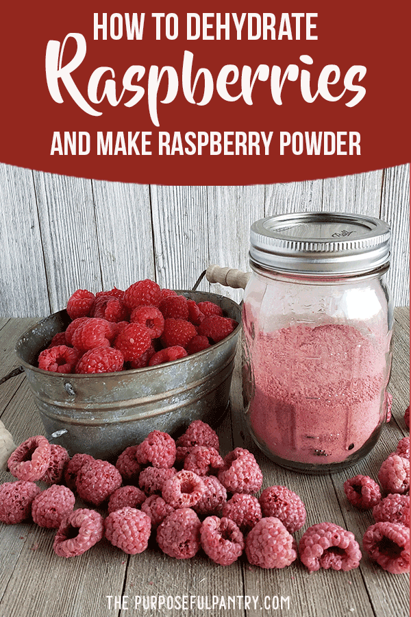 Red raspberries in a metal dish, powdered dried raspberry in a jar with spoon, and dehydrated raspberries on table.