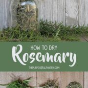 Dried Rosemary in an antique glass canning jar surrounded by fresh rosemary on wooden backgrounds