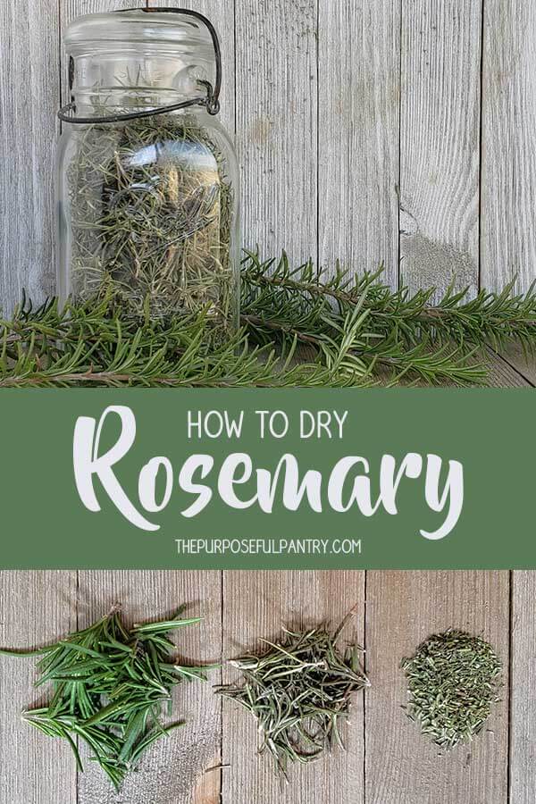 Dried Rosemary in an antique glass canning jar surrounded by fresh rosemary on wooden backgrounds