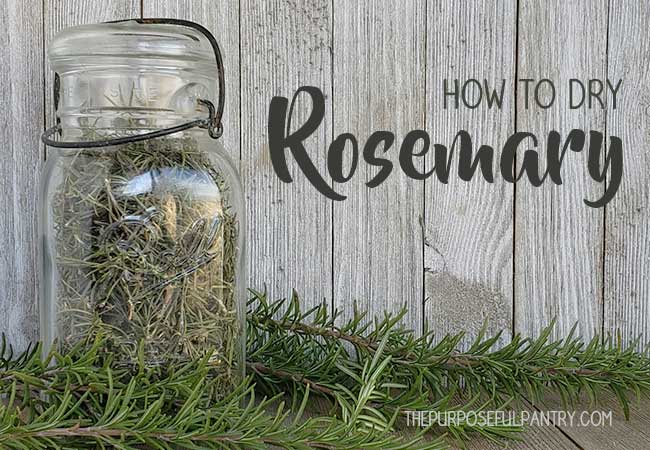 Dried Rosemary in an antique glass canning jar surrounded by fresh rosemary on wooden backgrounds