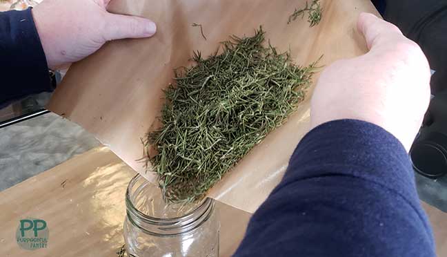 Nonstick deydrator mat full of dried rosemary being poured in a glass mason jar for storage.