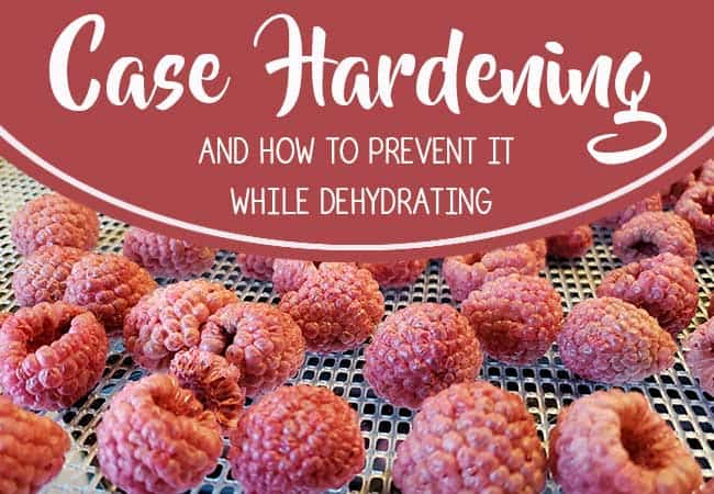 Dehydrating tray full of dried red raspberries and logo information on case hardening for blog content.
