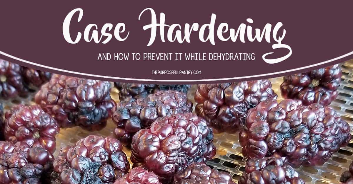 Dehydrating tray full of dried red raspberries and logo information on case hardening for blog content.