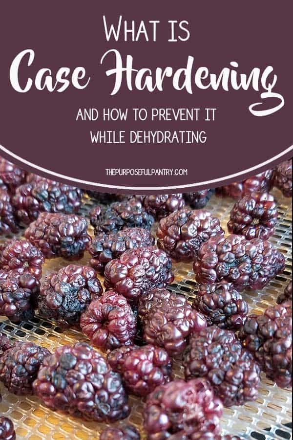 Dehydrating tray full of dried red raspberries and logo information on case hardening for blog content.
