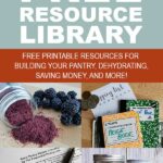 Pinterest Pin with images of free printables and text overlay saying Free Library Resource Library