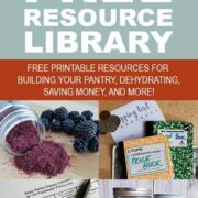 Pinterest Pin with images of free printables and text overlay saying Free Library Resource Library
