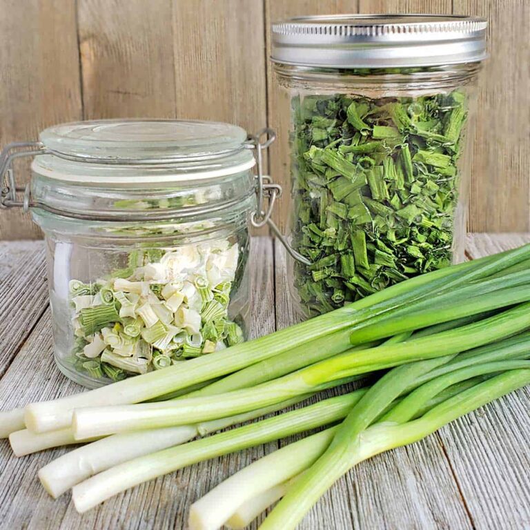 Fresh green onions with dehydrated scallions in jars on wooden surface