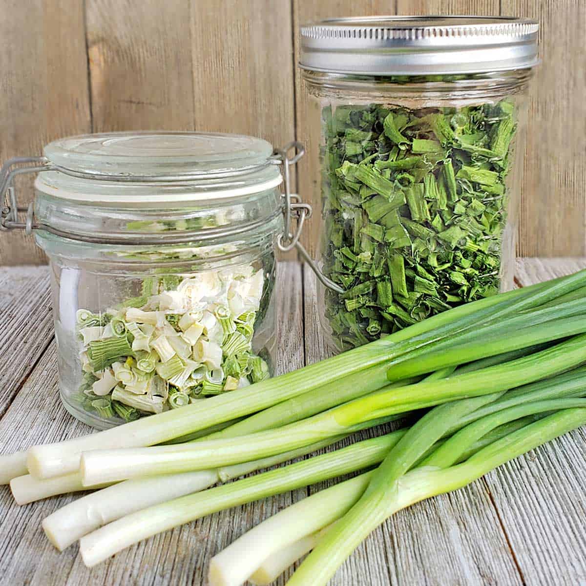 https://www.thepurposefulpantry.com/wp-content/uploads/2019/03/how-to-dehydrate-scallions-FEAT.jpg