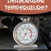 oven thermometer in open Excalibur Dehydrator to test dehydrator temperature