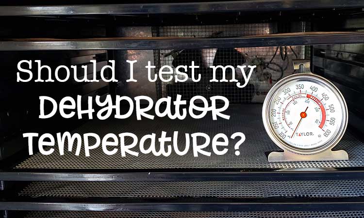 oven thermometer in open Excalibur Dehydrator to test dehydrator temperature