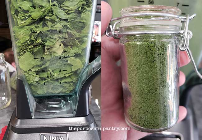 Ninja Blender with dehydrated radish leaves and container of ground radish leaf powder