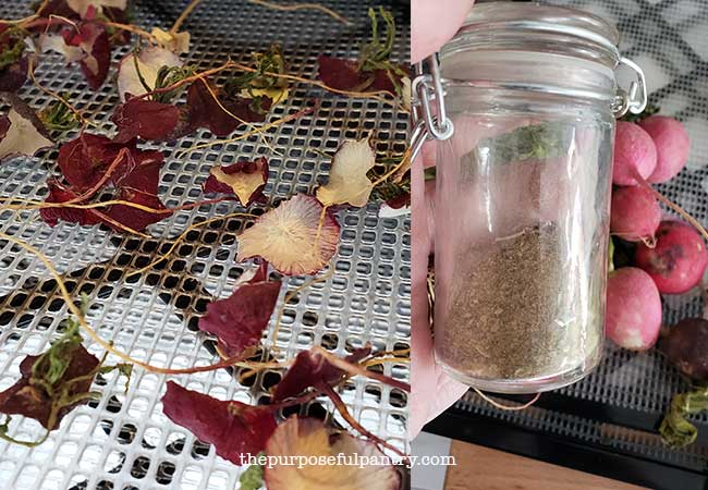 Excalibur Dehydrator Tray with dehydrated radish bits and bottle of dehydrated radish powder