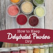 Row of dehydrated vegetable and fruit powders in glass mason jars with silver lids on wooden background