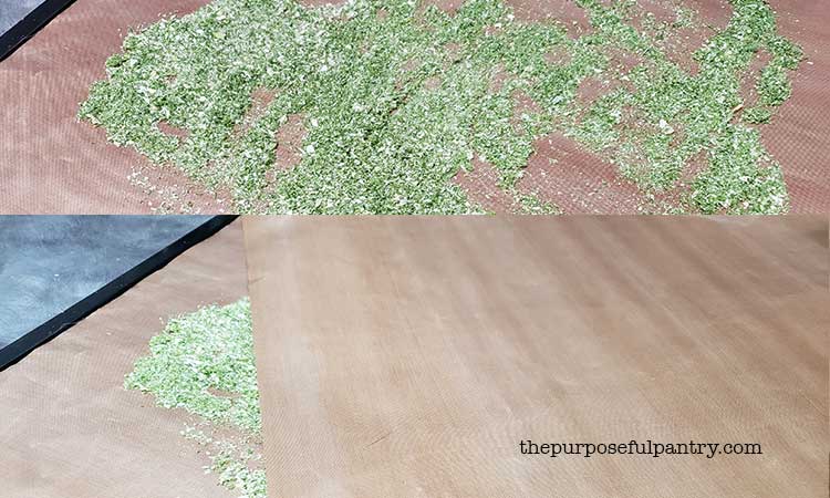 Flat of Excalibur dehydrator tray with powdered green onions and covered with nonstick dehydrator sheets