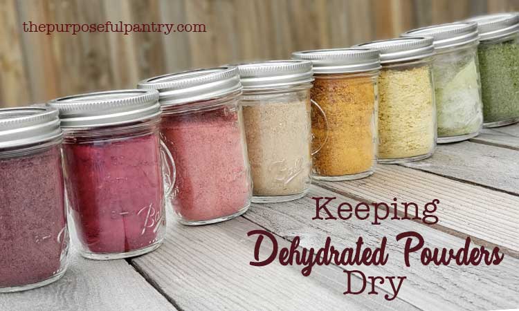 Row of dehydrated vegetable and fruit powders in glass mason jars with silver lids on wooden background