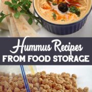 Bowl of hummus with a side of pita bread makes a great snack from your food storage.