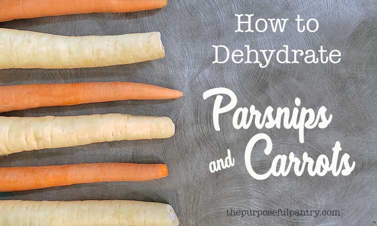 Parsnips & carrots in a row on a gray countertop with "How to Dehydrate Parsnips & Carrots" overlay