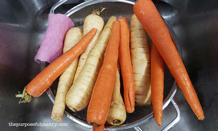 Steel colander full of parsnips and carrots being prepared to dehydrate.
