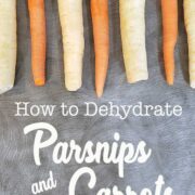 Parsnips & carrots in a row on a gray countertop with "How to Dehydrate Parsnips & Carrots" overlay