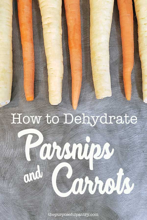 Parsnips & carrots in a row on a gray countertop with "How to Dehydrate Parsnips & Carrots" overlay