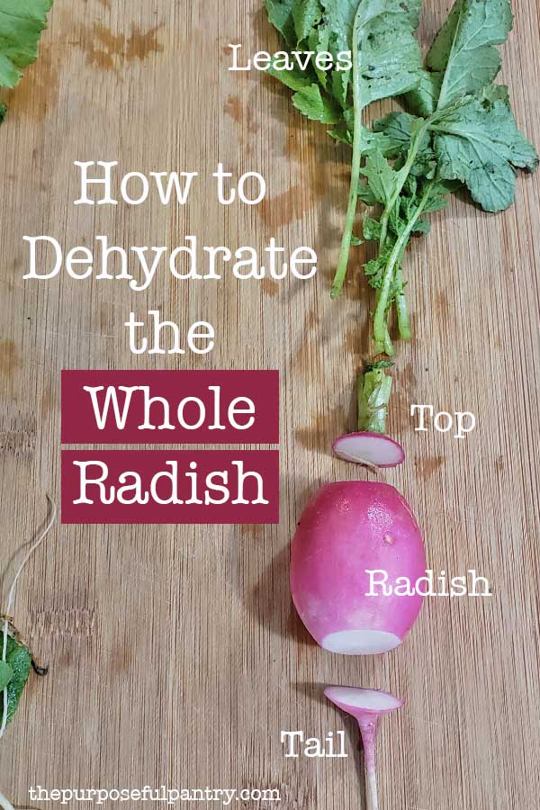 Cutting board with a full radish plant cut and labeled being prepared to dehydrate radishes.
