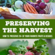 Preserving the harvest through dehydrating techniques to preserve your favorite vegetables like parsnips.