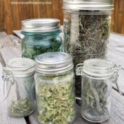 Mason jars for storing dried herbs on a picnic table in front of a rust colored fence.