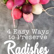 A bunch of radishes on a gray countertop being preapred to preserve radishes