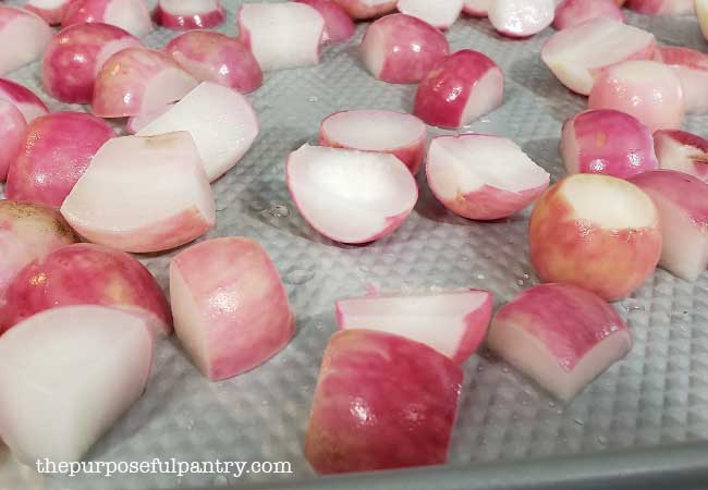 Metal cookie tray full of parsnips to be flash frozen in order to preserve radishes.