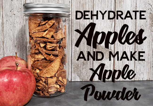 Mason Jar full of dehydrated Apples and two apples to dehydrate apples