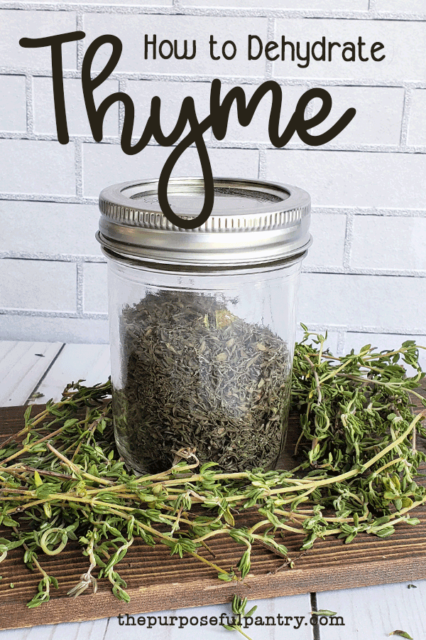 Mason jar of dried time on a bed of fresh thyme for How to Dehydrate Thyme