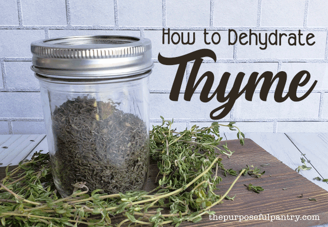 Mason jar of dried time on a bed of fresh thyme for How to Dehydrate Thyme